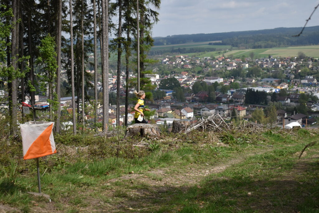 Oblastní žebříček Peklák 2024